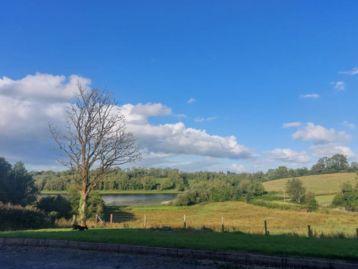 Molly'S Self Catering Accommodation Cavan Dış mekan fotoğraf